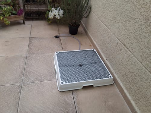 Customer photo review of Weasy Cão