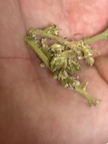 Customer photo review of Nitrotrinadium