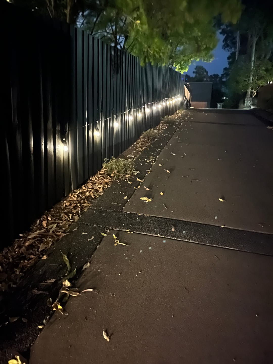 Customer photo review of Festoon Solar Lights (Series 2)