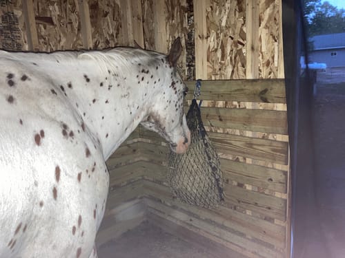 Customer photo review of Hay Chix® Half Bale Net