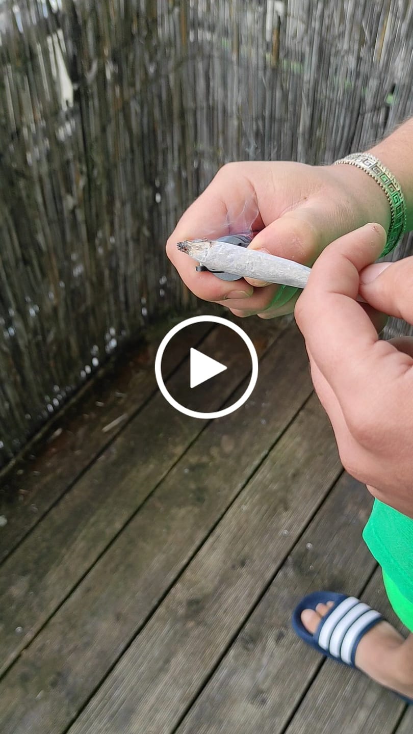 Customer video review of Vollis Turbobud - SATIVA TURBO LVL 5/5