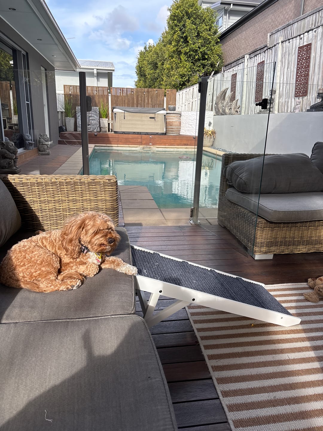 Customer photo review of Adjustable Height Dog Ramp