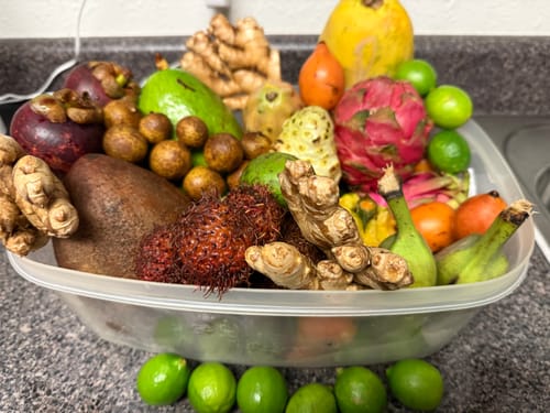 Customer photo review of Tropical Variety Box