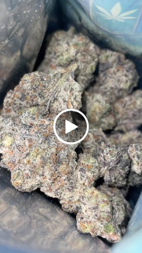 Customer video review of Wedding Crasher THCA Flower LB