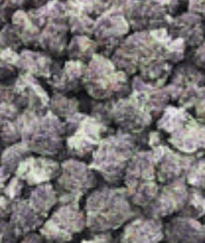 Customer photo review of Pop Cherry - Bulk - Minis (Sativa)