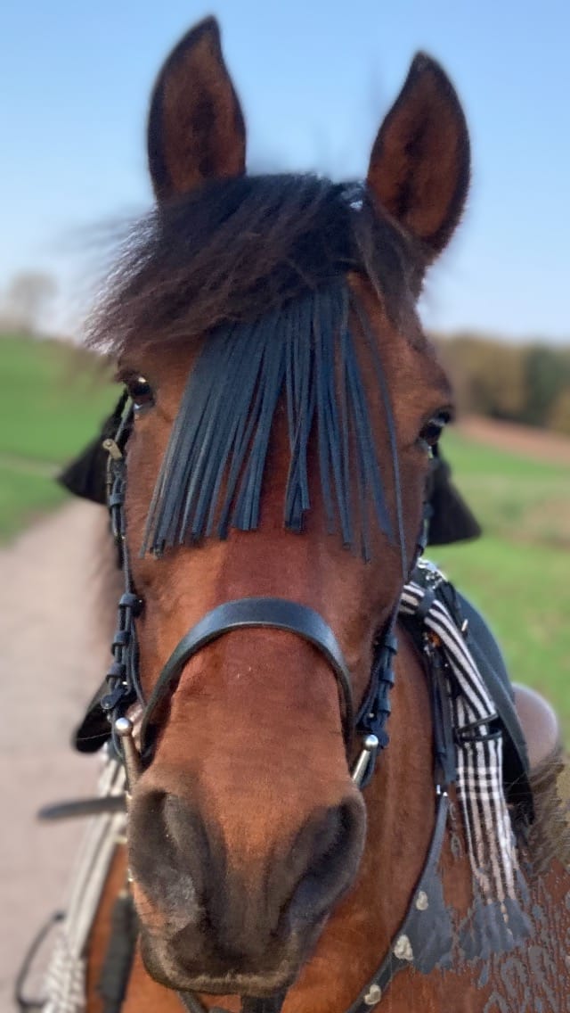 Customer photo review of Kristallkraft No2