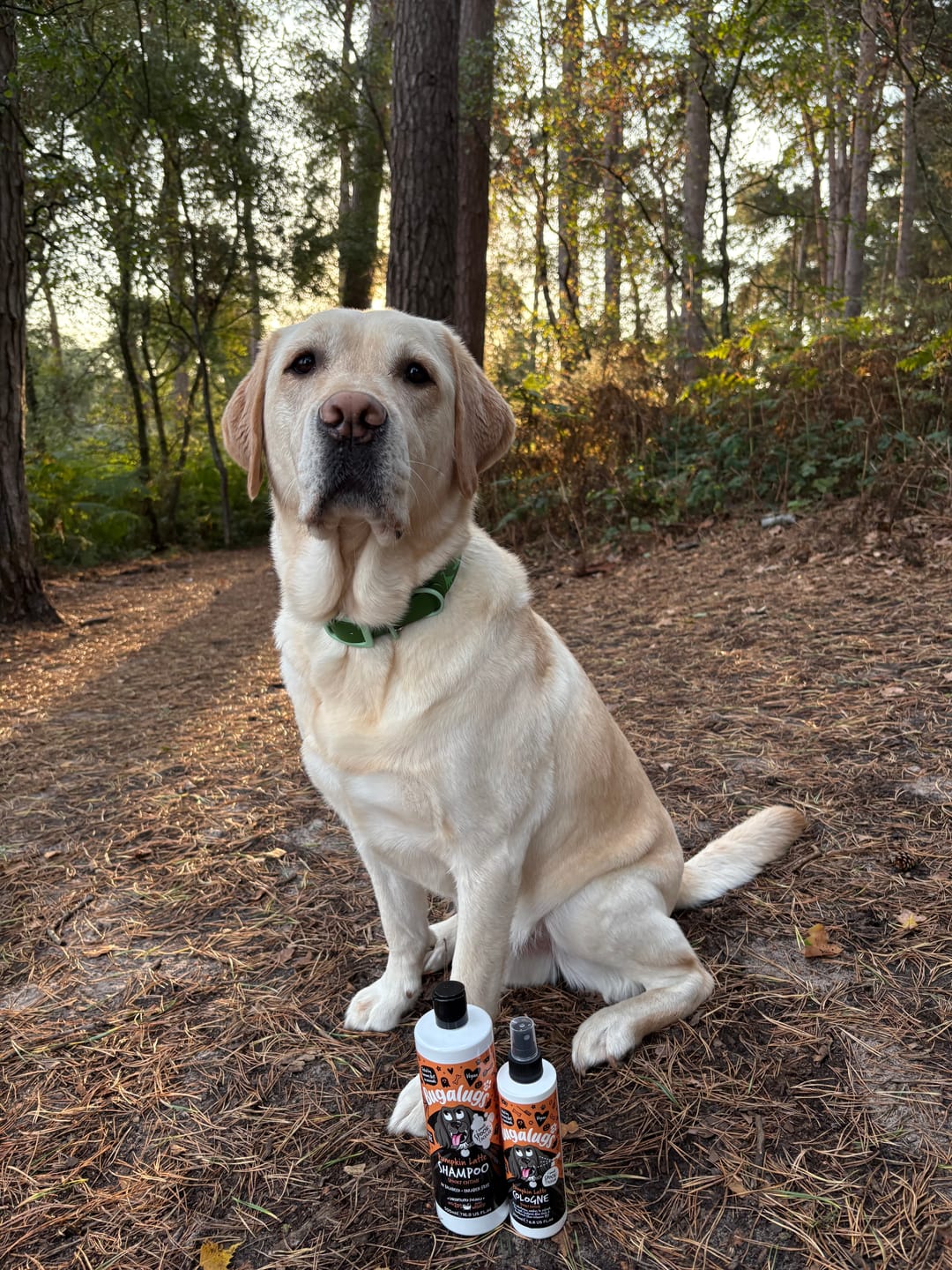 Customer photo review of Spooky Edition: Pumpkin Latte Bundle (Shampoo + Cologne)