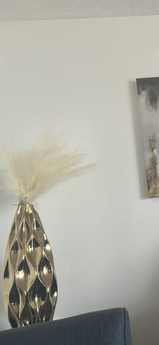 Customer photo review of Modern Gold Ceramic Vase