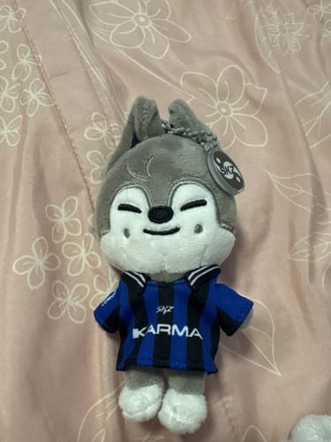 Customer photo review of [POB] [PRE-ORDER] Stray Kids - The 4th Album KARMA (SKZOO Ver.)