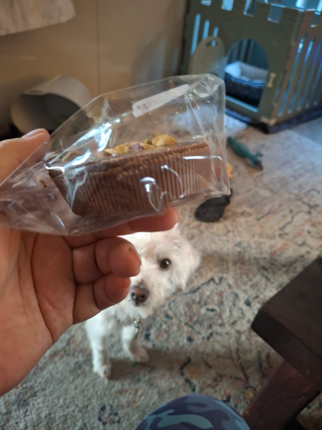 Customer photo review of LIMITED EDITION Pistachio Dream Pie