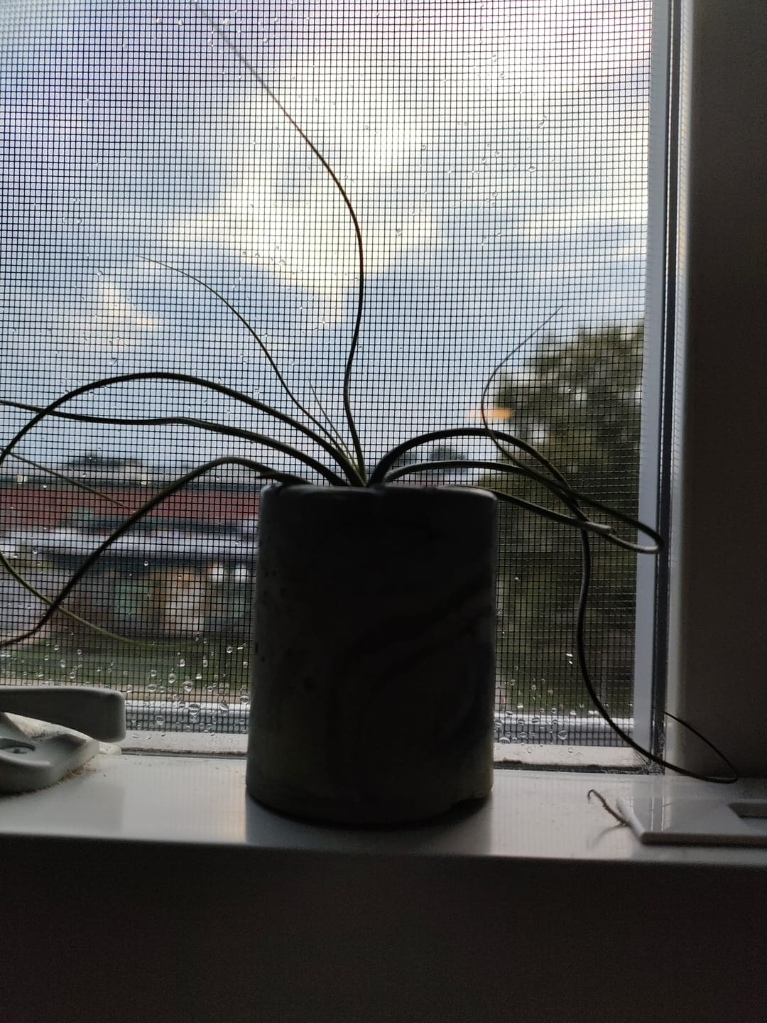 Customer photo review of Butzii