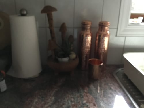 Customer photo review of Himalayan Ayurvedic Pure Copper Bottle