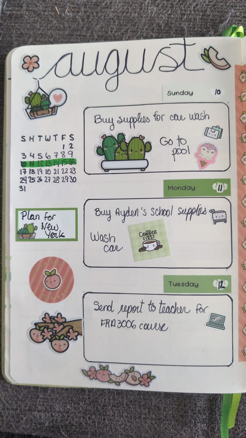 Customer photo review of (Pre-order) Cozy Plants Box Set