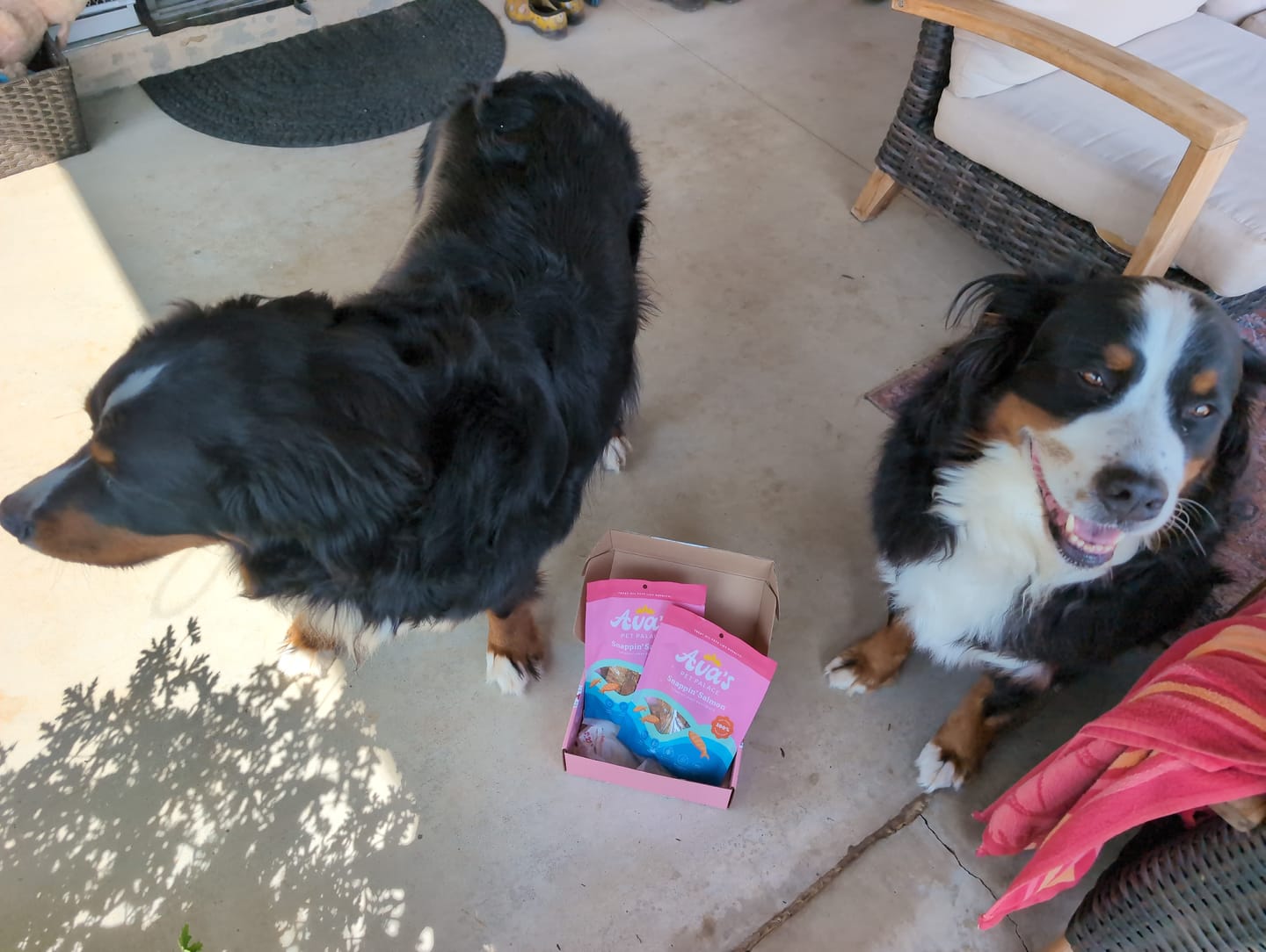 Customer photo review of Crunchy Jerky Dog Treats - Snappin' Salmon