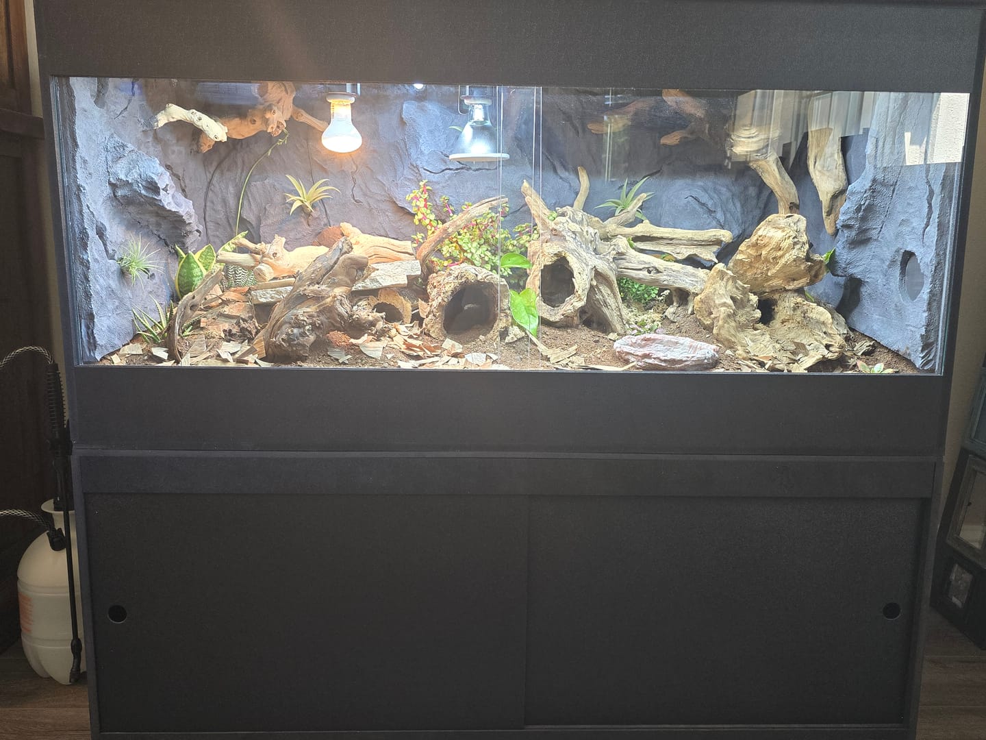Customer photo review of 48"x24"x24" / 4'x2'x2' Premium PVC Reptile Enclosure