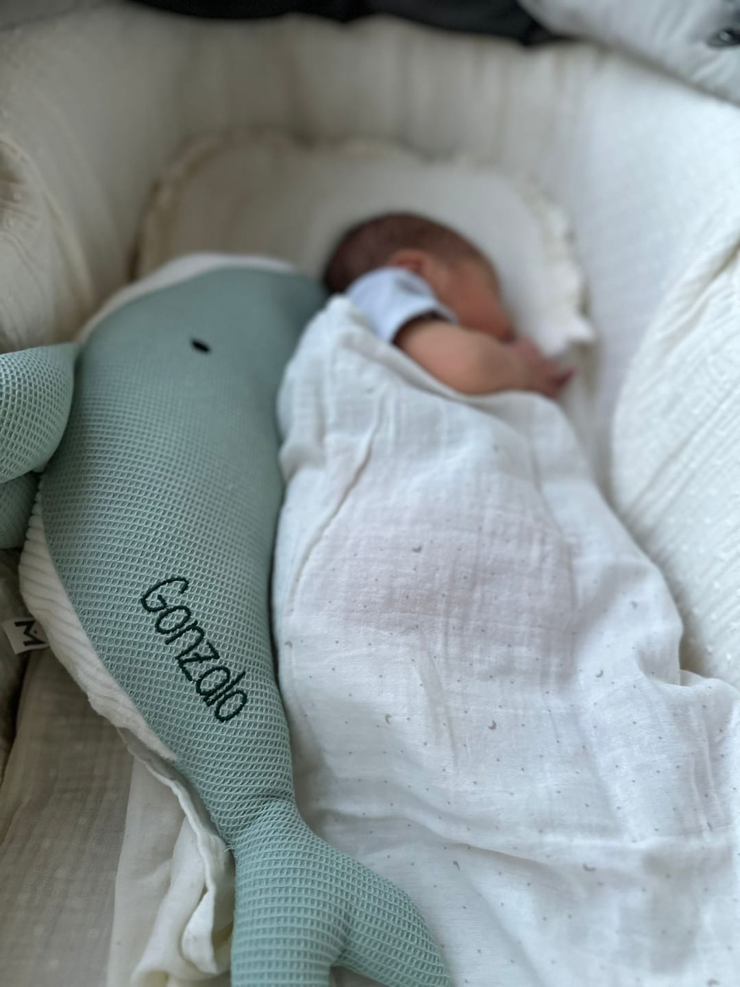 Customer photo review of Peluche Ballena Susi - MENTA