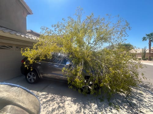 Customer photo review of 307 Tulipe 28" Industrial Metal Table Base