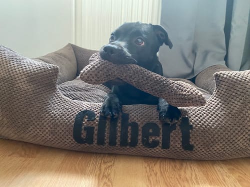 Customer photo review of Platinum brown - brun hundbädd med namn