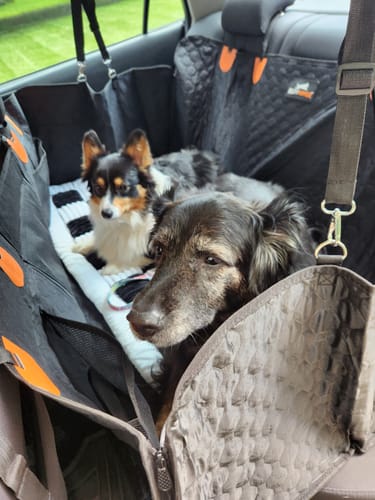 Customer photo review of RuffRover 2.0™ - Hard Bottom Back Seat Extender + (FREE Dog Bed)