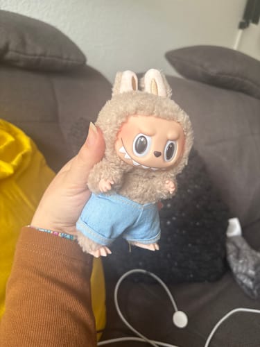 Customer photo review of Labubu The Monsters Exciting Macaron Series Plush Pendant Blind Box