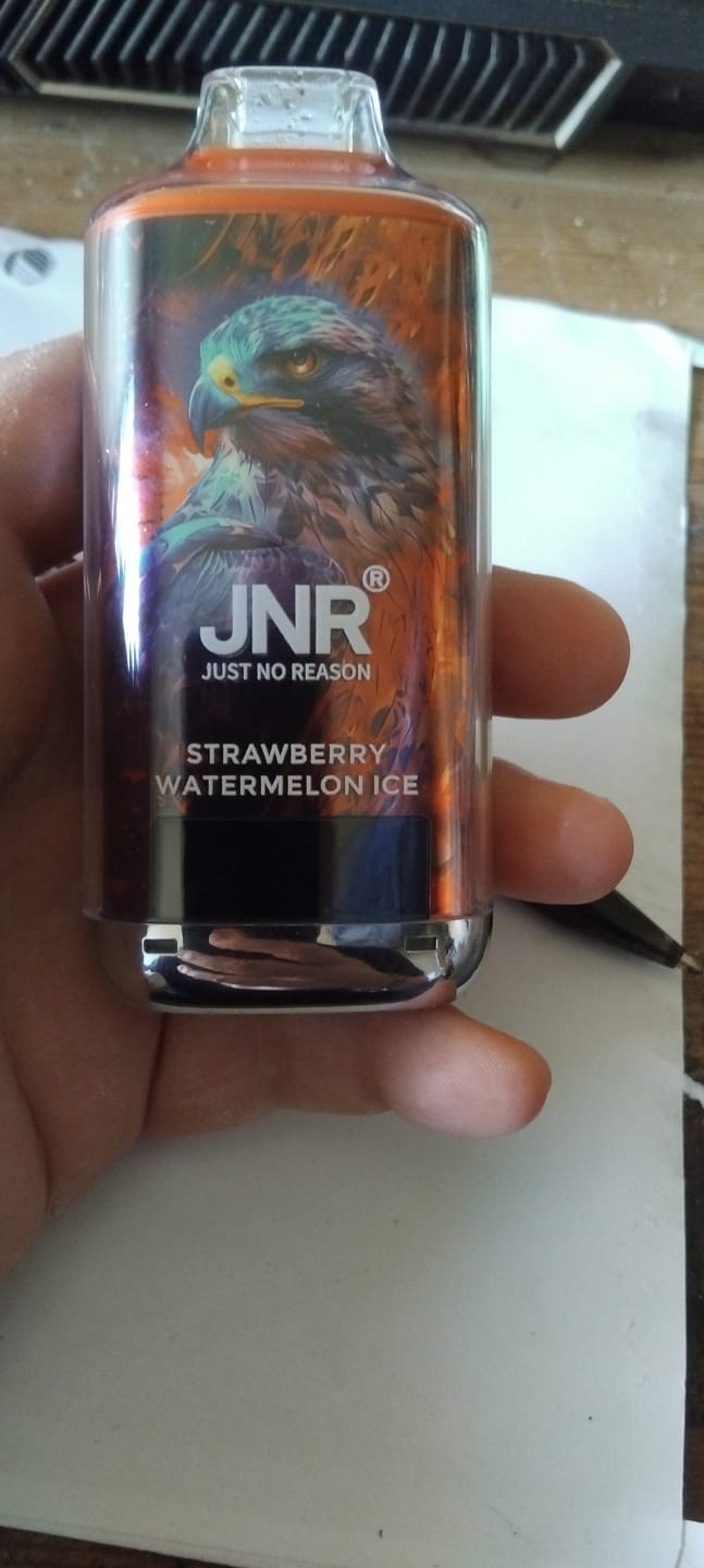 Customer photo review of JNR Alien 10000 Puffs Disposable Vape