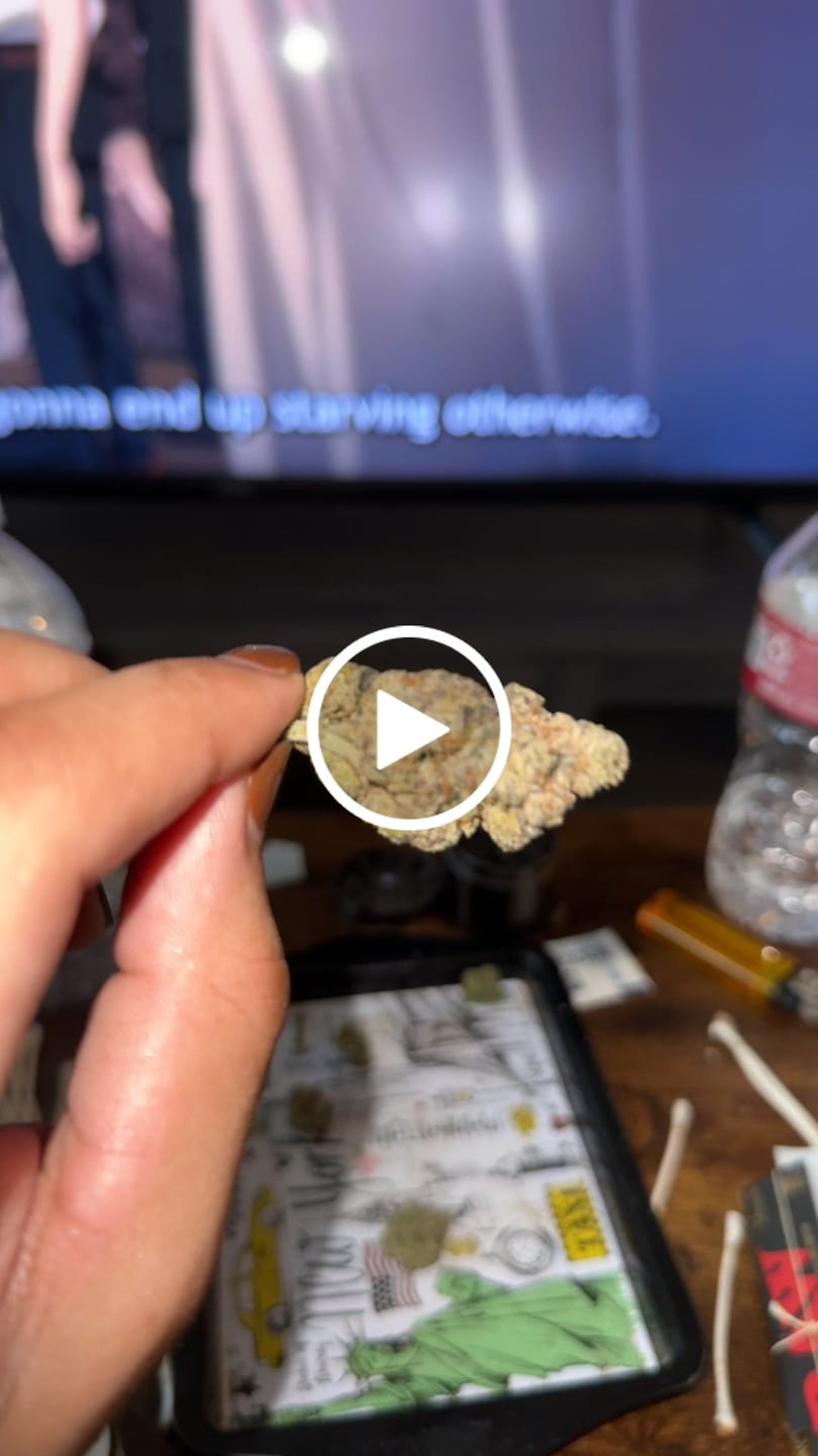 Customer video review of Snowing Candy IceFlash -THCa Flower