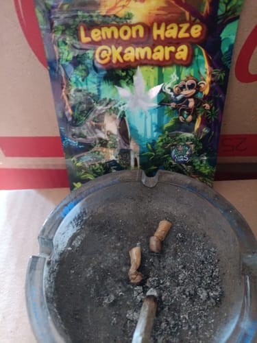 Customer photo review of Hi Bros®-  Ⓛemon @Kamara