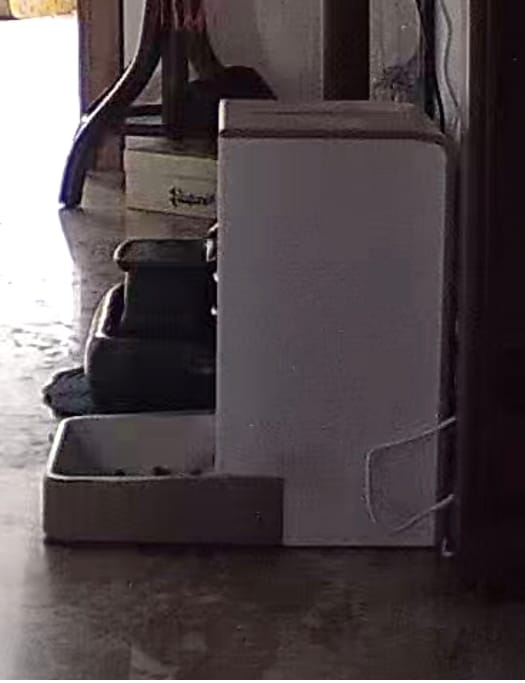 Customer photo review of Automatic Pet Feeder