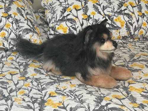 Custom Petslify plush reviewed by Sheila M., handmade replica of their pet