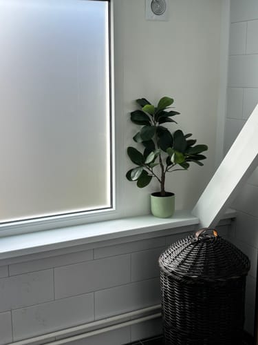 Customer photo review of Ficus Kunstplant 80cm
