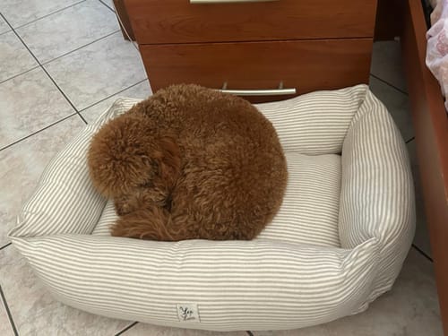 Customer photo review of Cover Cotone Beige Righe Strette