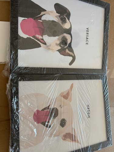 Customer photo review of Modern Pet Portrait - One Pet