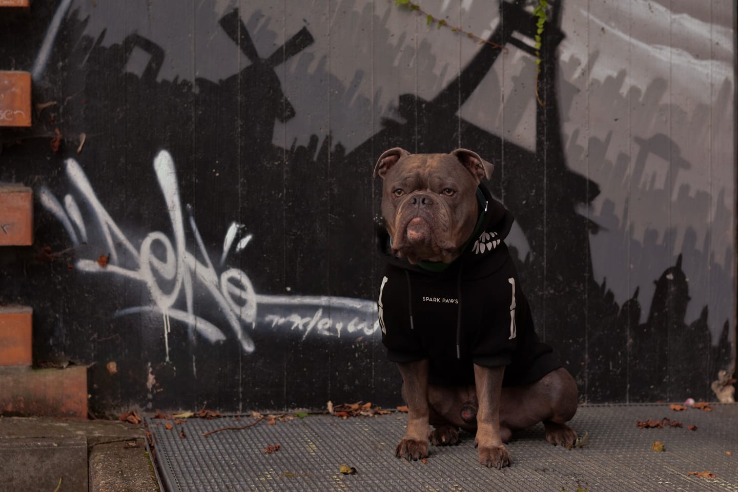 Customer photo review of Halloween Dog Hoodie - Skeleton