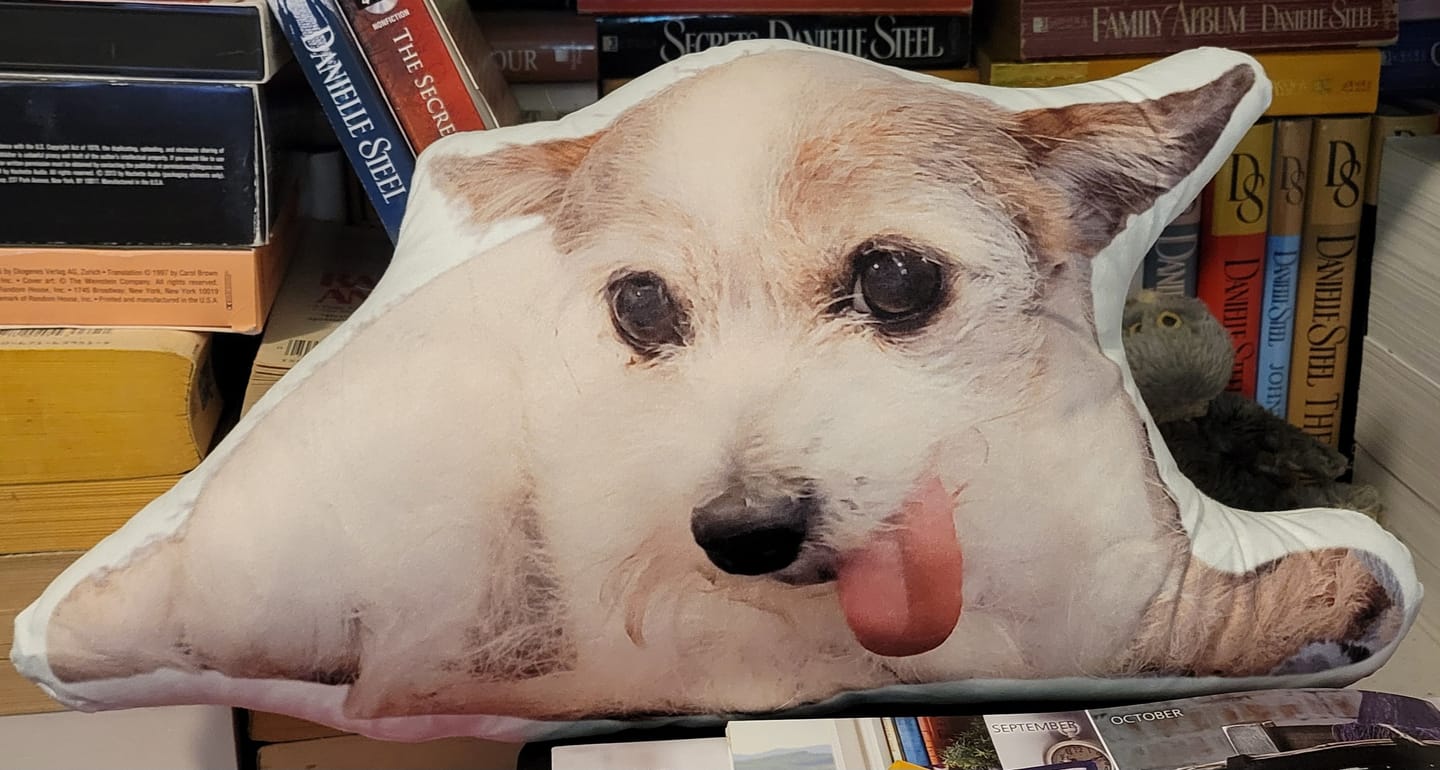 Customer photo review of Pet Pillow Looks Like Your Pet, Customize Dog Shaped Pillow with Pet Photo - ThePetPillow