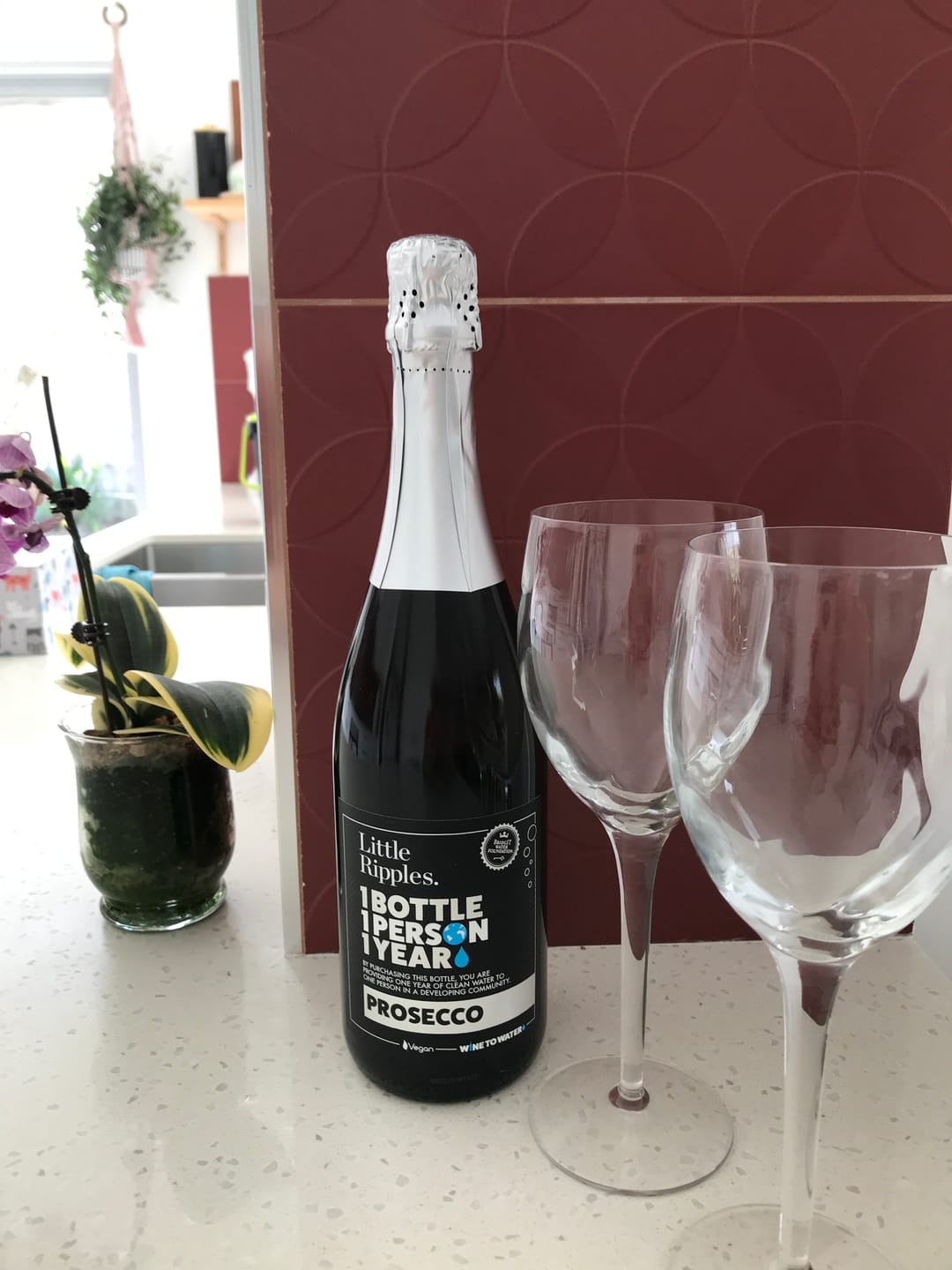 Customer photo review of Prosecco - 6pk