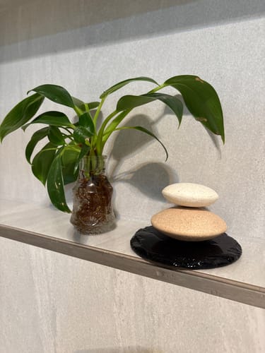 Customer photo review of Buy 1 Claystone Set - Get the 2nd Set Free