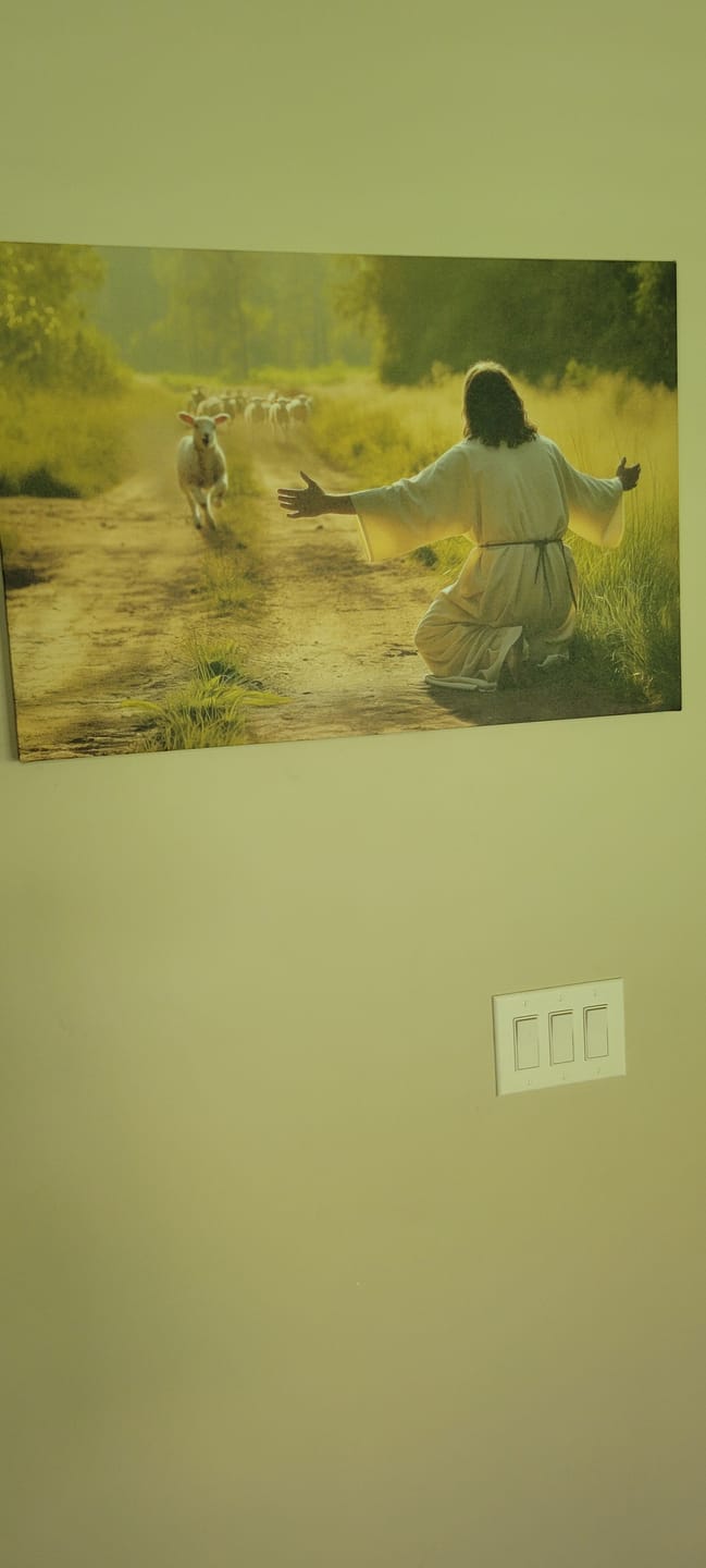 Customer photo review of Lamb Runs to Jesus Wall Art Canvas