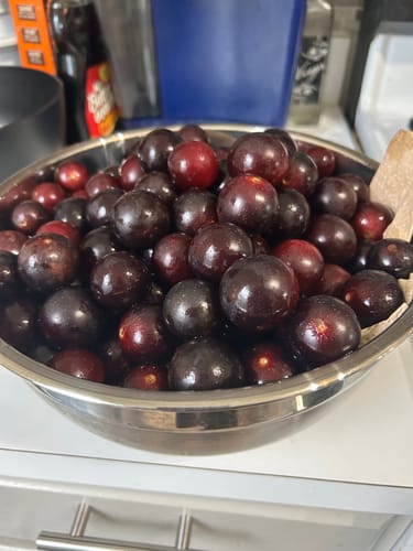 Customer photo review of Grapes With Seed (Muscadine Red/Green)