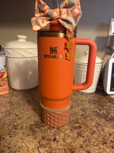 Customer photo review of Sage Pumpkin Tumbler Bow - Universal Fit
