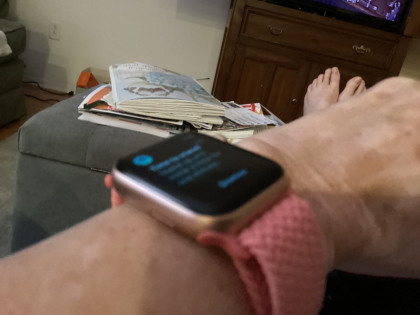 Customer photo review of Terra Loop Band