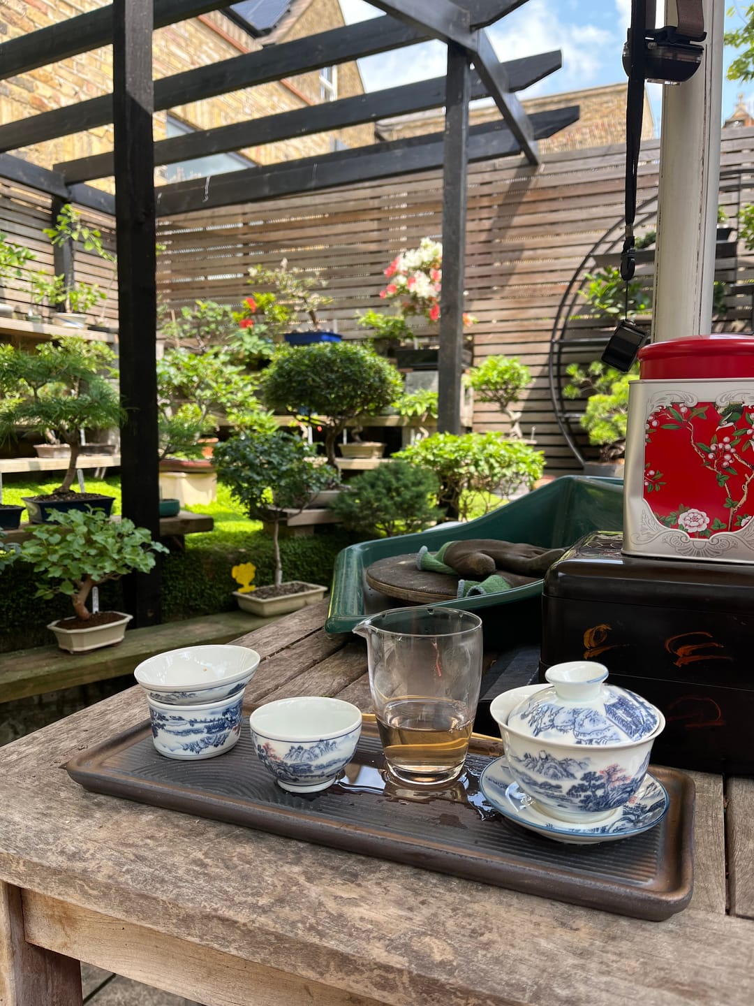 Customer photo review of Tie Guan Yin Iron Goddess Oolong Tea