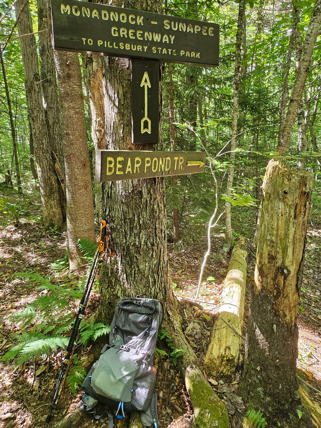 Customer photo review of Murmur 36 Hyperlight Backpack