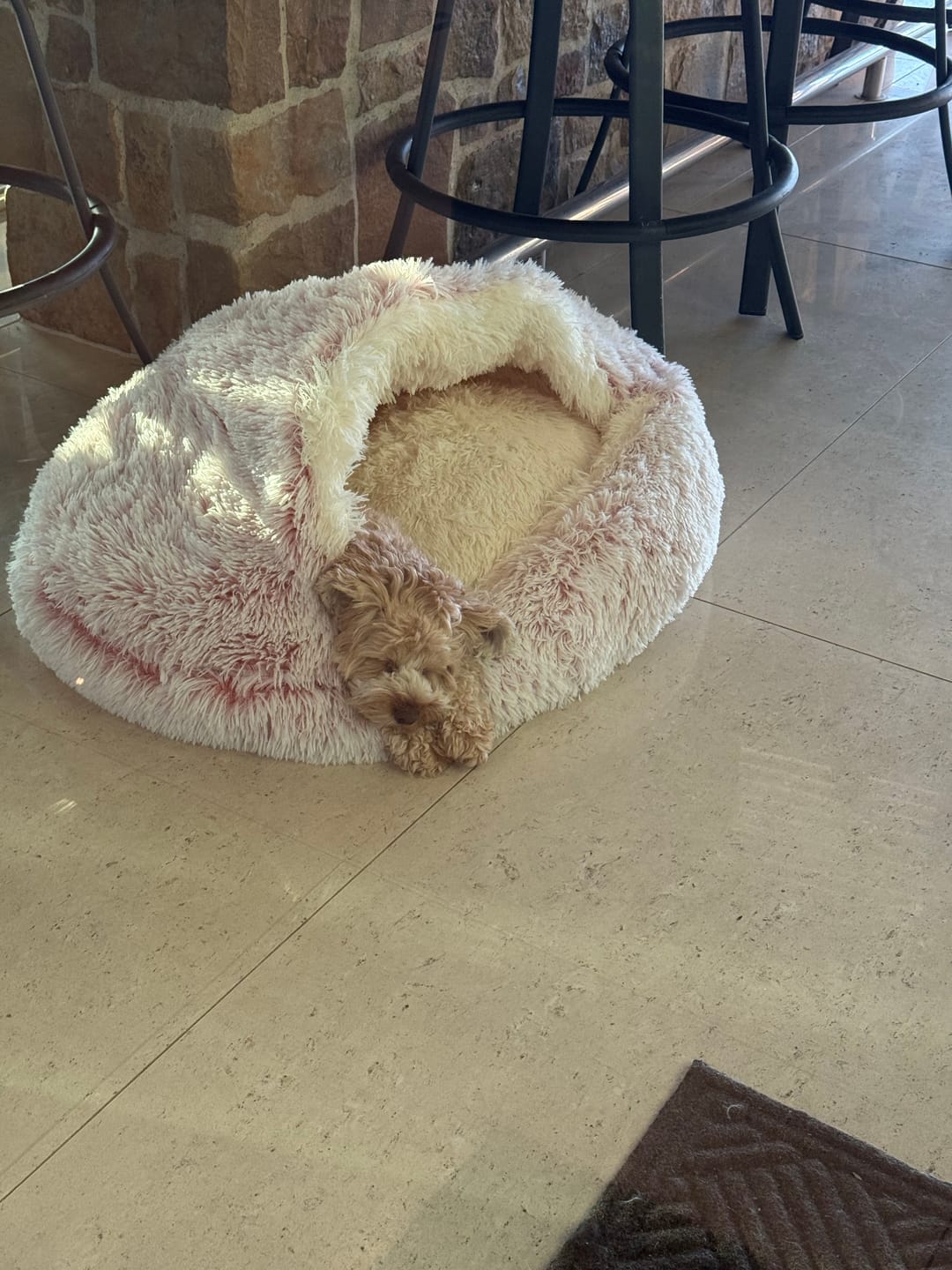 Customer photo review of Snuggle Cave
