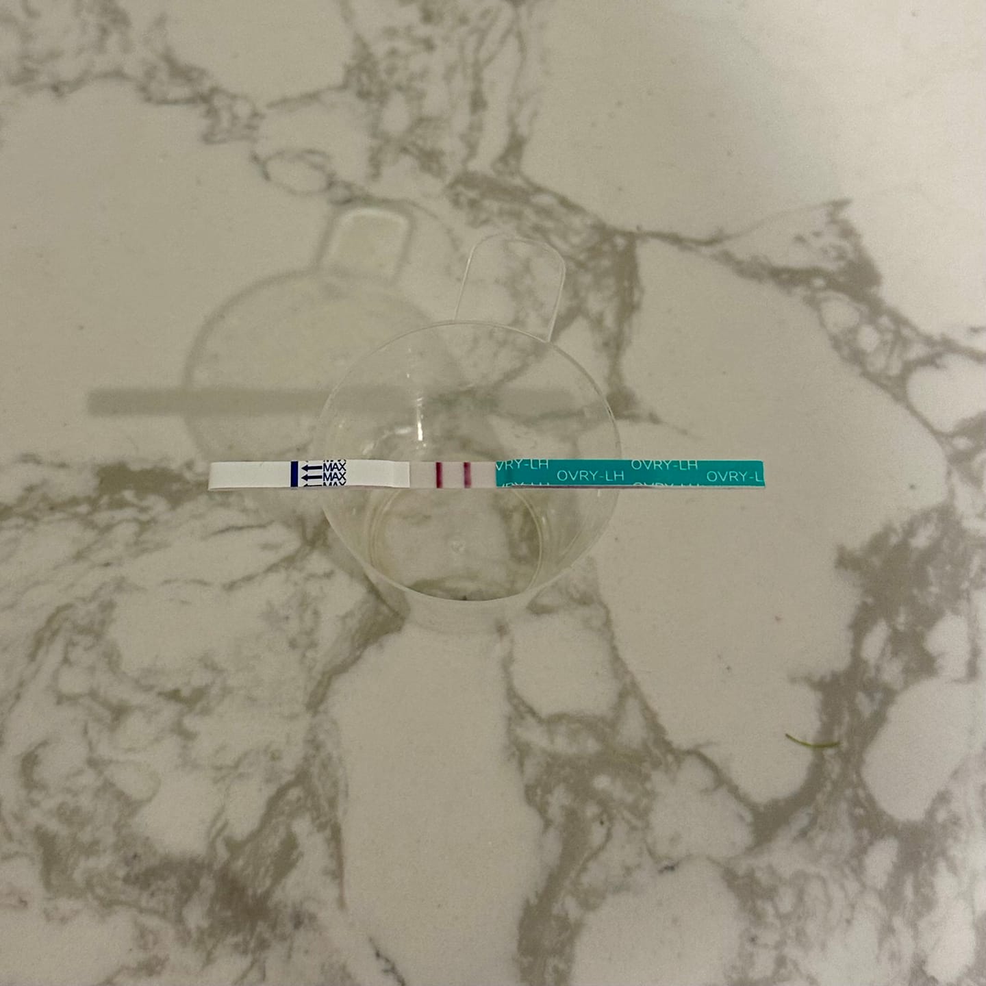 Customer photo review of Ovulation Test Strips