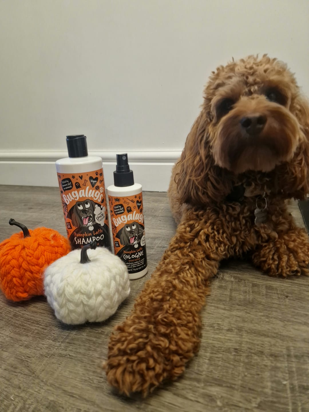 Customer photo review of Spooky Edition: Pumpkin Latte Bundle (Shampoo + Cologne)