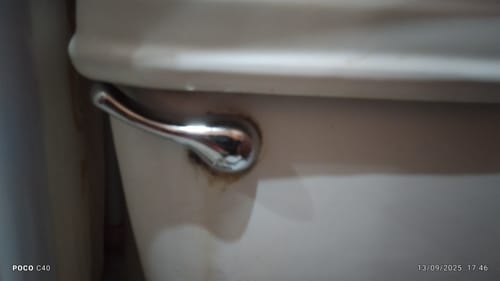Customer photo review of Palanca Cromada Para Wc Pw-019 Foset