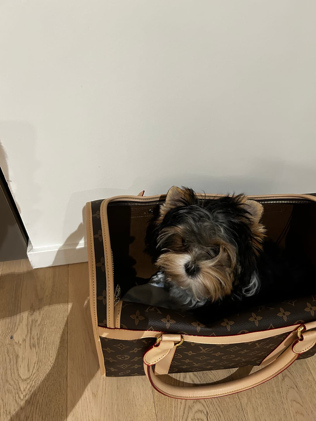 Customer photo review of LOULA BAG (3-5 days to send out)