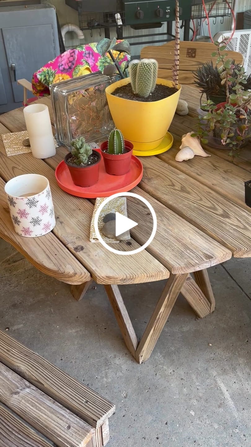 Customer video review of Pachycereus marginatus - Mexican Fence Post Cactus