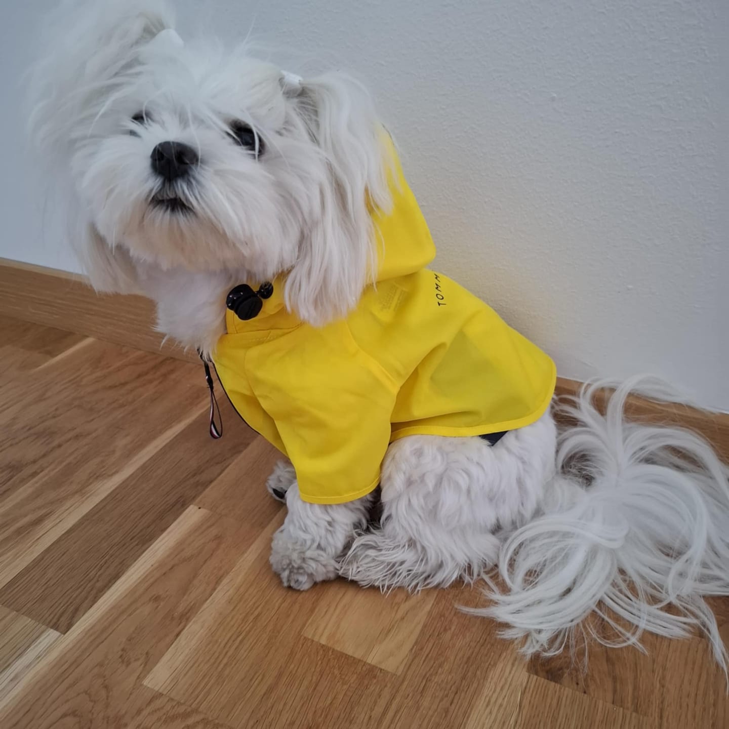 Customer photo review of Tommy Hilfiger Rain Coat