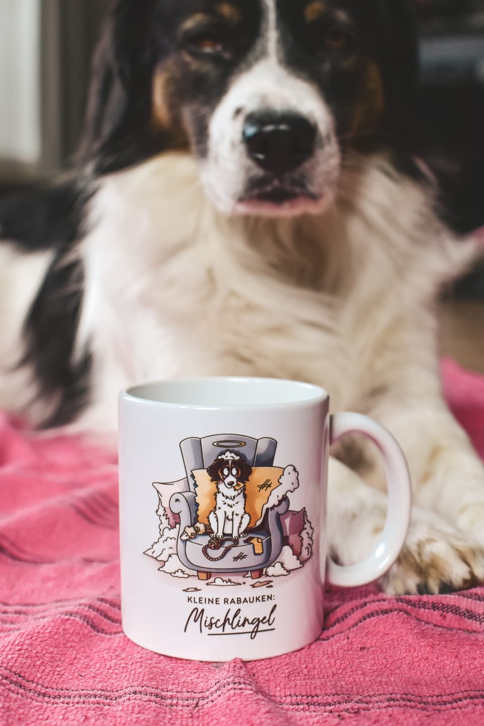 Customer photo review of Tasse "Mischlingel"